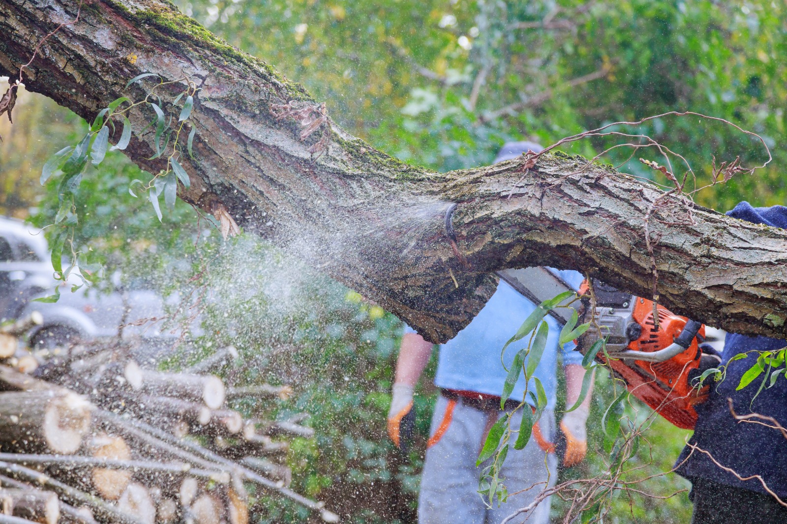 Excavation Services Nashville TN | Peca Excavations LLC